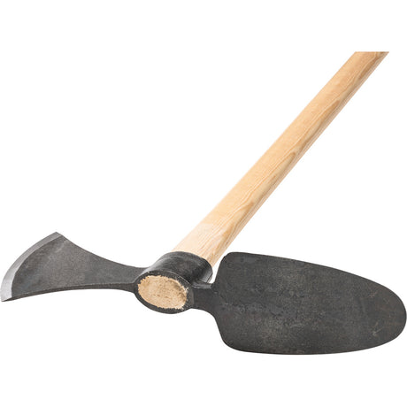 Hoopoe hoe