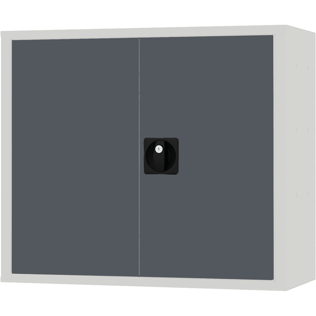 Hängeschrank mit Doppelflügeltüre CL7