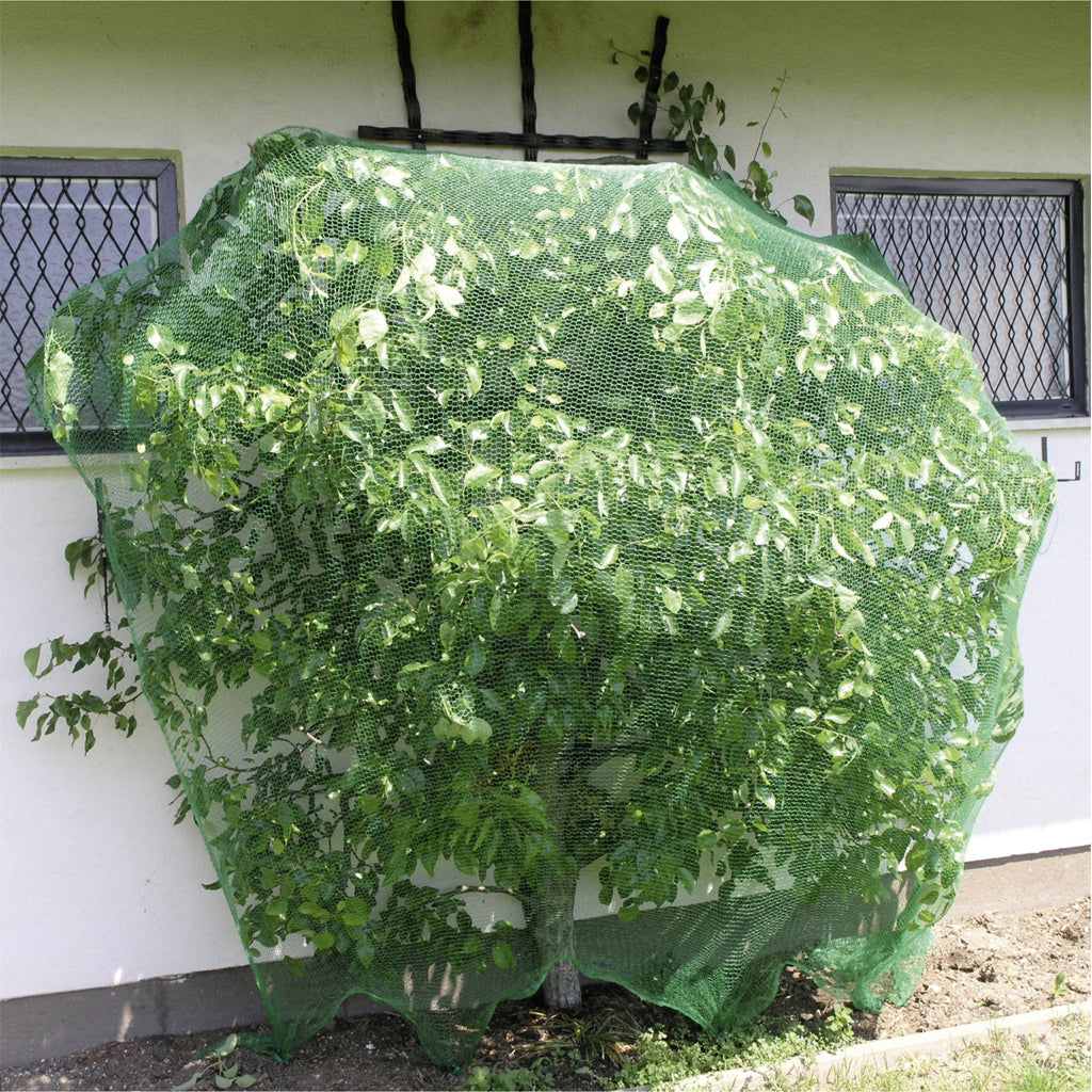 Bird protection net