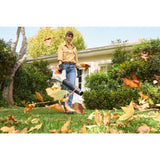 Stihl Akku-Blasgerät BGA 60 / mit Akku AK 20 und Ladegerät AL 101