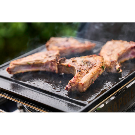Napoleon Gasgriller Freestyle™ 365 mit Seitenkocher