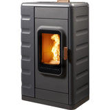 Austroflamm Pelletofen RUBY