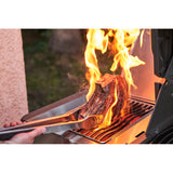Napoleon Gas Grill Prestige® 500 Connesso / Acciaio Inox