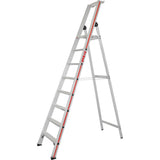 Scala a pioli con piattaforma 8026