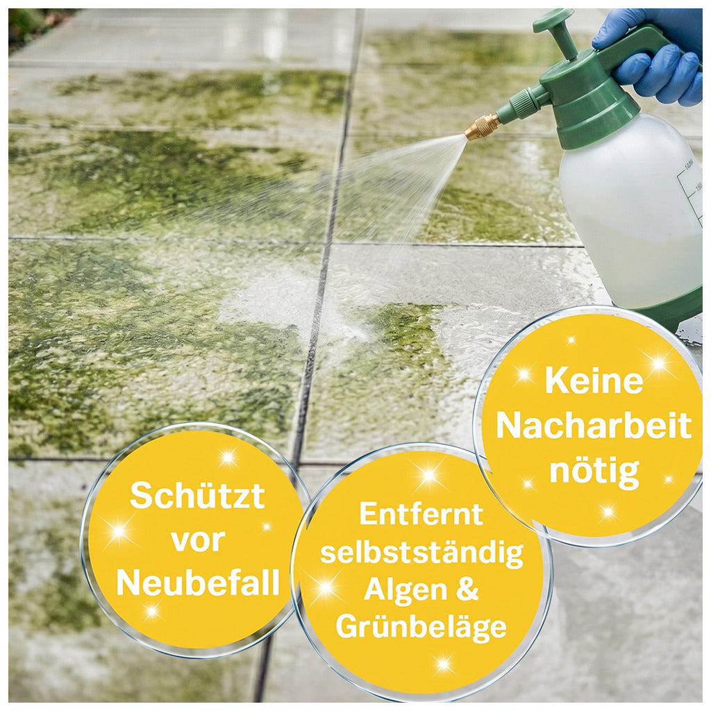 Schmidt's Grünbelagentferner