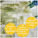 Schmidt's Grünbelagentferner