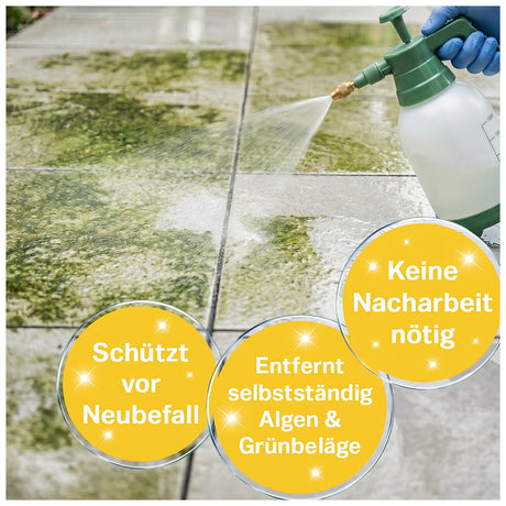 Schmidt's Grünbelagentferner
