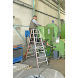 Scala a pioli 8024