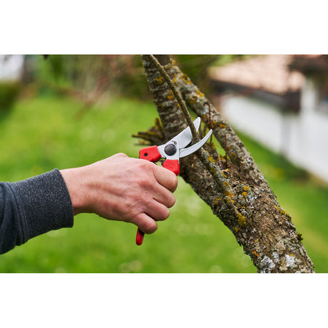 FELCO 171 L tree shears