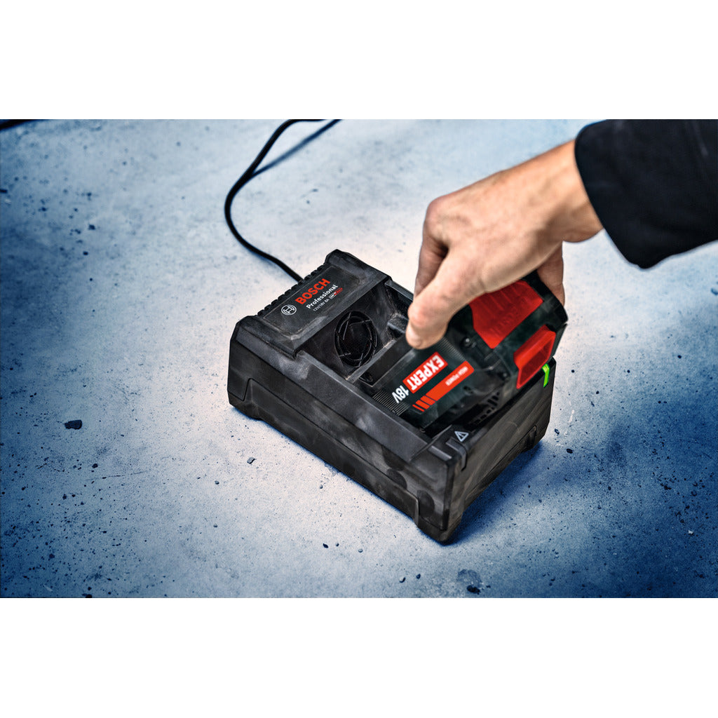 Battery starter set 2x EXBA18V-55 + GAL12V/18V-80
